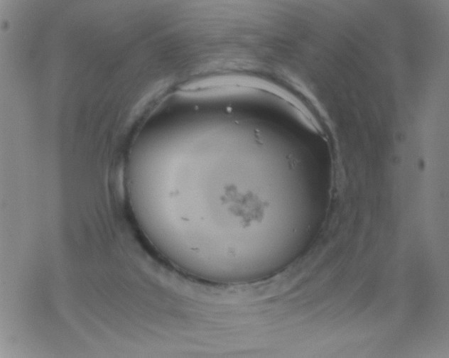 X0000073920019200609082249