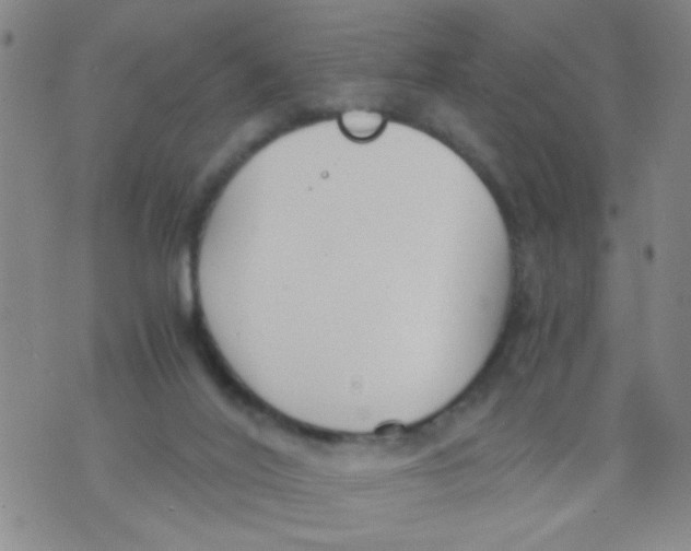 X0000073920020200609082249