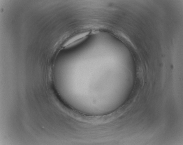 X0000073920023200609082249