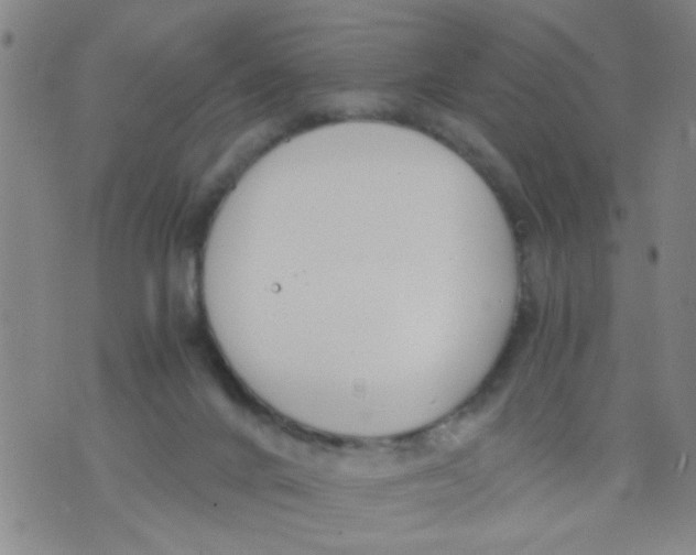 X0000073920024200609082249