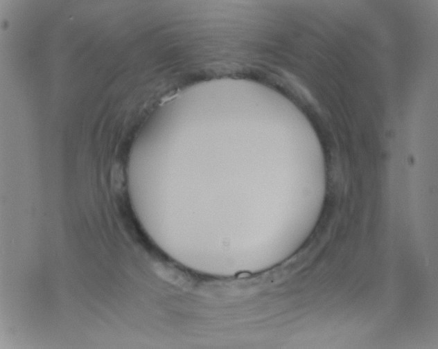 X0000073920025200609082249