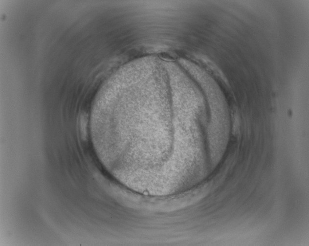 X0000073920026200609082249