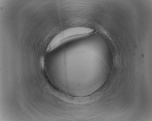 X0000073920027200609082249