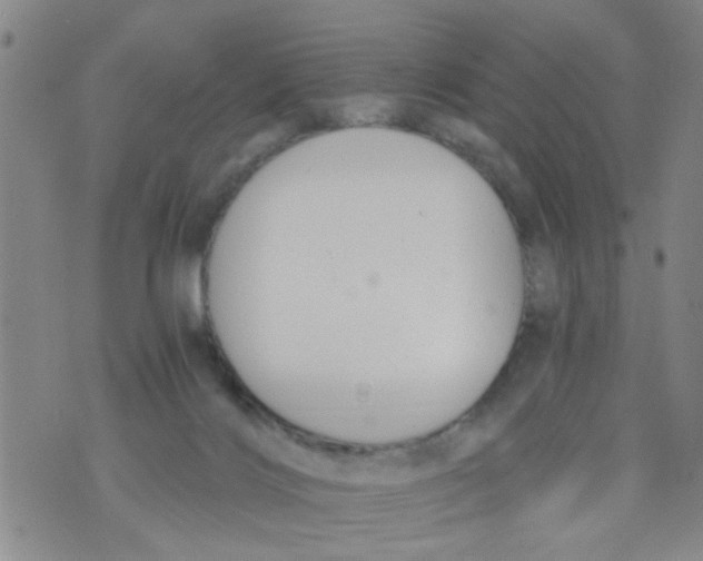 X0000073920028200609082249