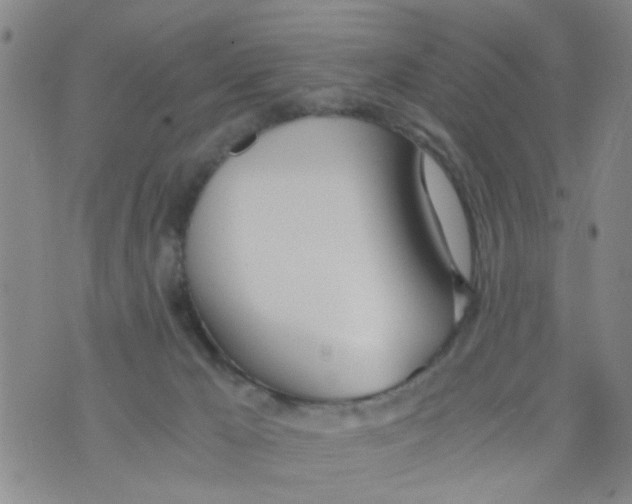 X0000073920029200609082249