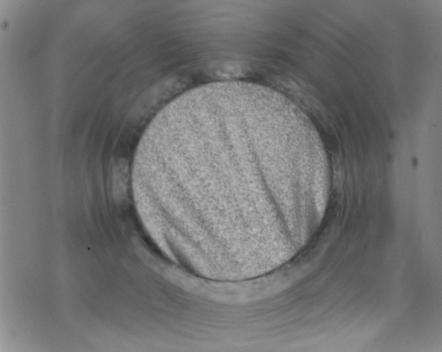 X0000073920030200609082249