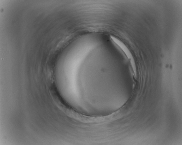 X0000073920031200609082249