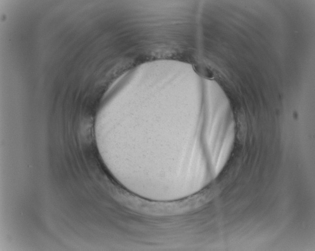 X0000073920034200609082249