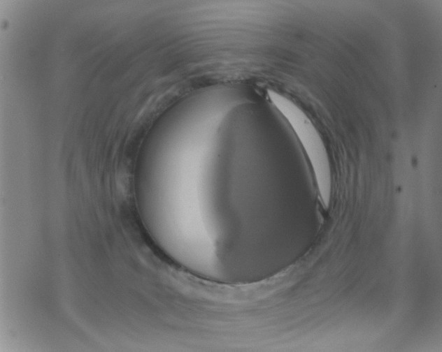 X0000073920035200609082249