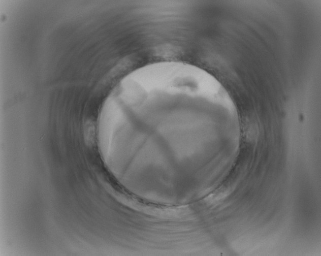 X0000073920036200609082249