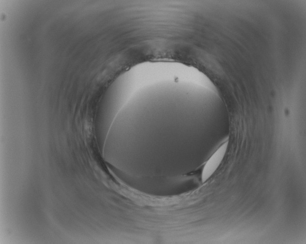 X0000073920039200609082249