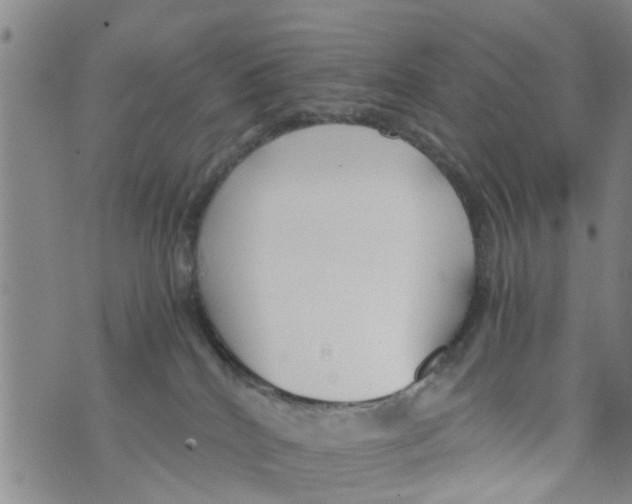 X0000073920040200609082249