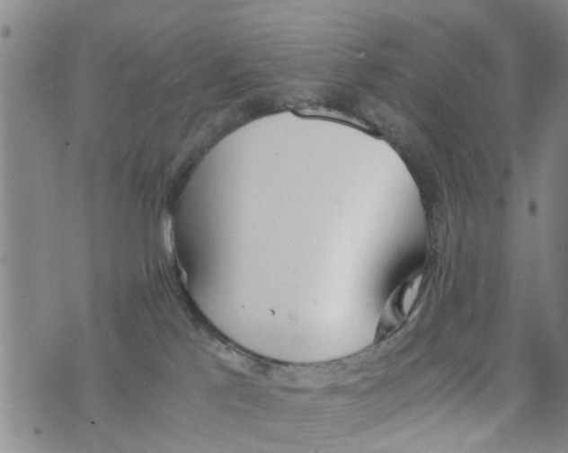 X0000073920041200609082249