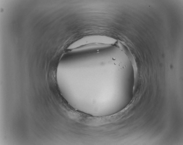 X0000073920045200609082249