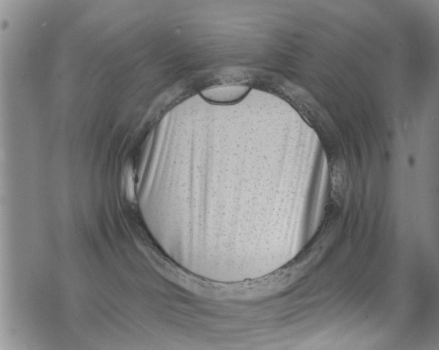 X0000073920046200609082249