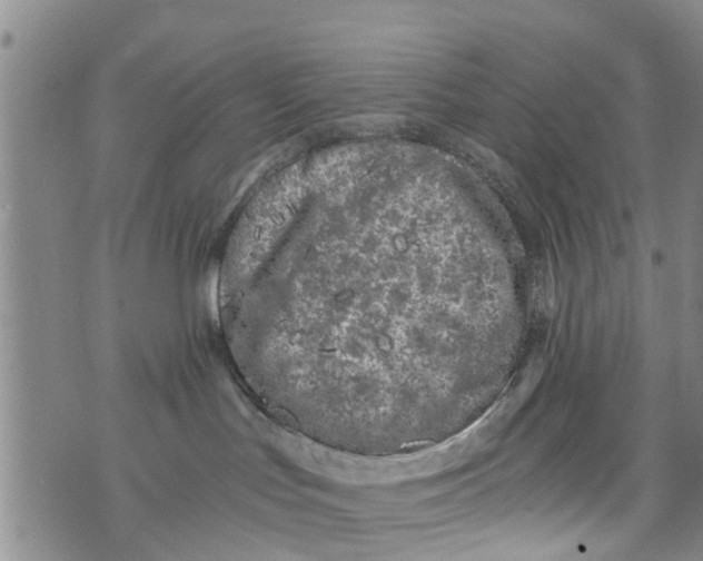 X0000073920047200609082249