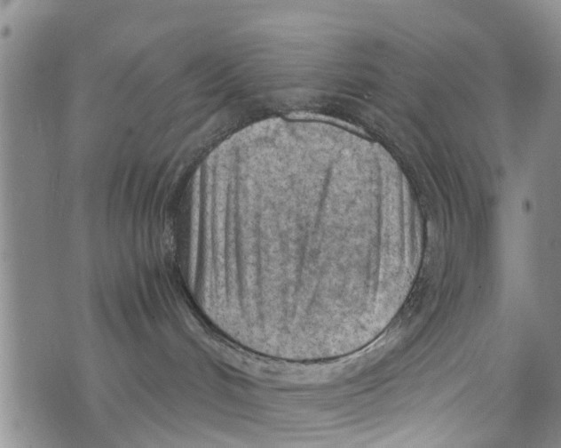 X0000073920048200609082249