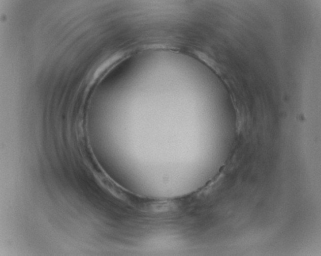 X0000073920050200609082248