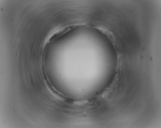 X0000073920051200609082248