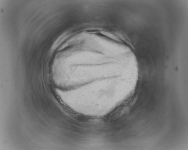 X0000073920053200609082248