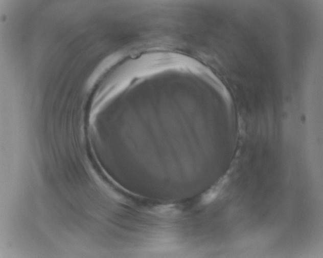 X0000073920054200609082248