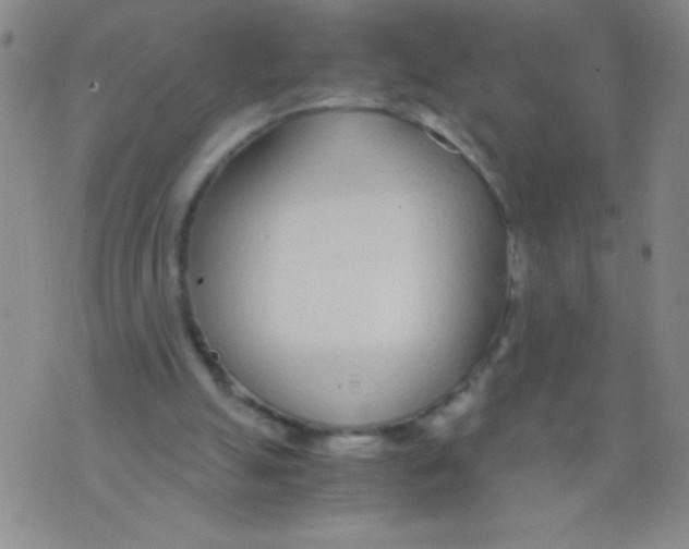 X0000073920055200609082248