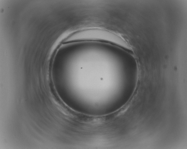 X0000073920056200609082248