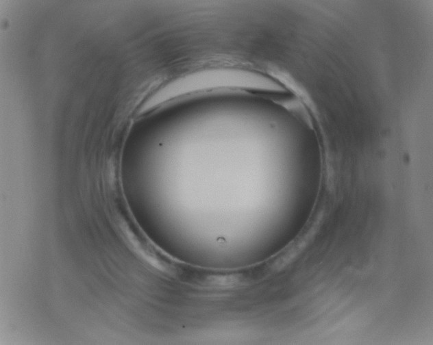 X0000073920057200609082248