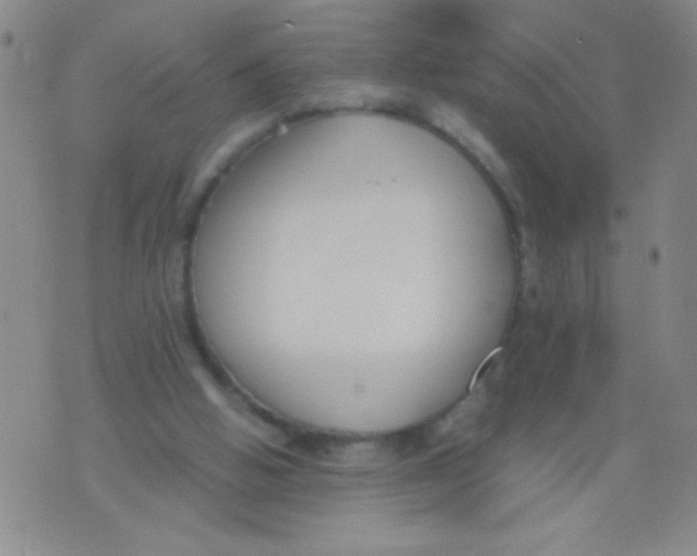 X0000073920058200609082248