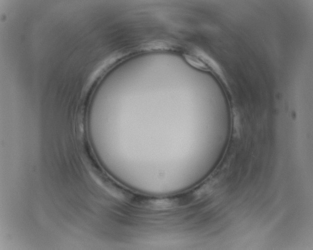 X0000073920059200609082248