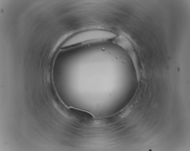 X0000073920060200609082248