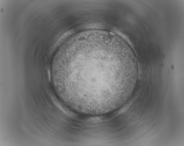 X0000073920061200609082248