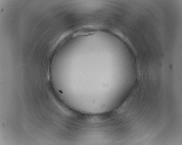 X0000073920062200609082248