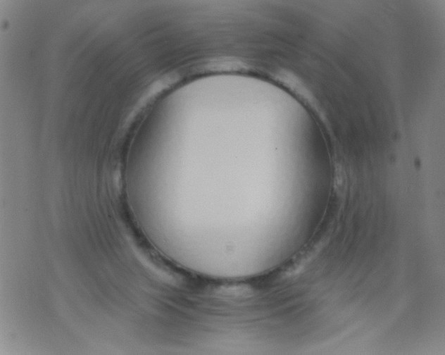 X0000073920063200609082248