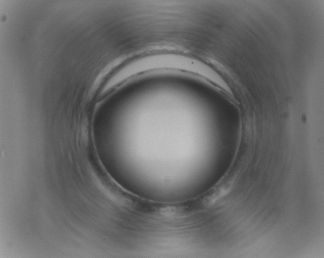 X0000073920064200609082248