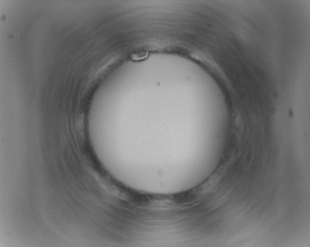 X0000073920066200609082248