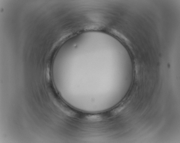 X0000073920067200609082248