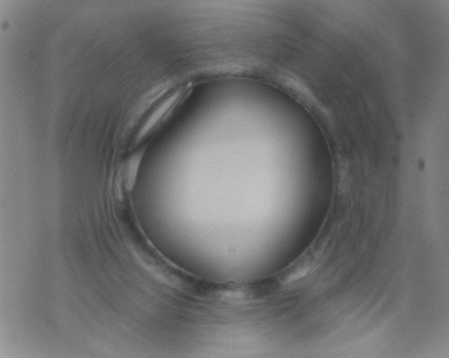 X0000073920068200609082248