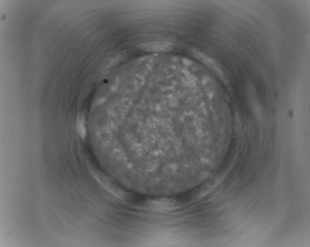 X0000073920069200609082248