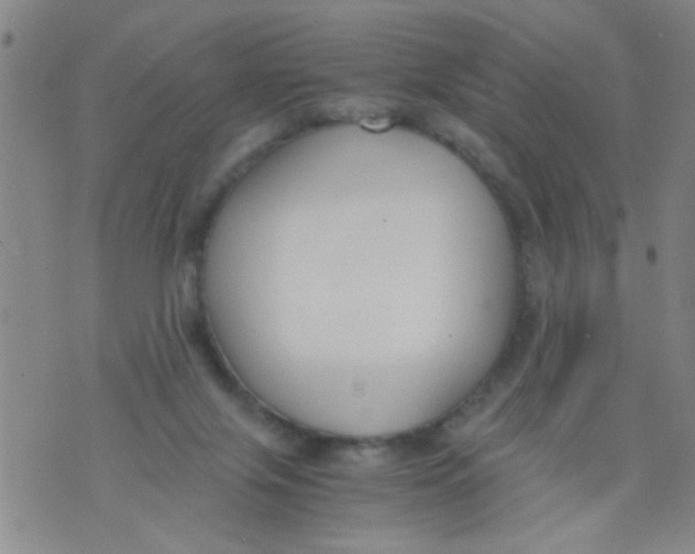 X0000073920071200609082248