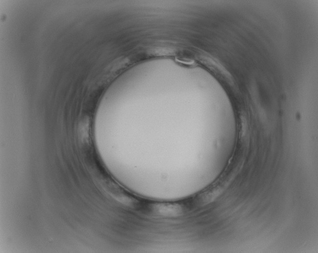 X0000073920073200609082248