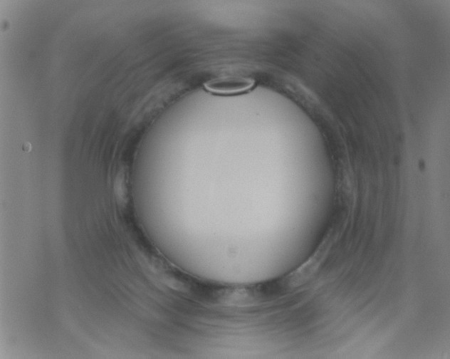 X0000073920074200609082248