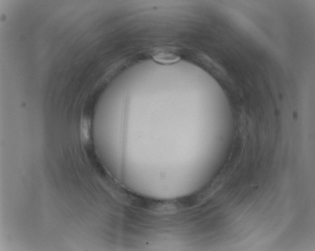 X0000073920075200609082248