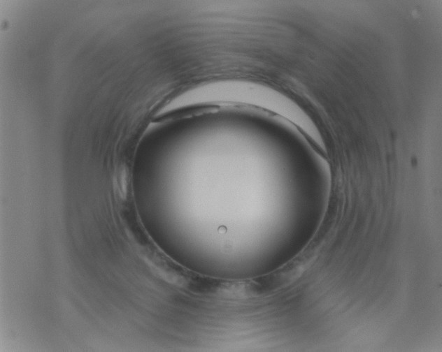 X0000073920076200609082248