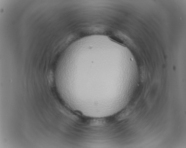 X0000073920077200609082248