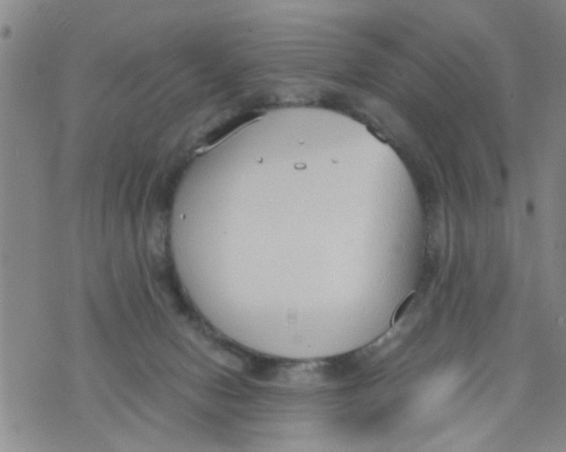 X0000073920078200609082248