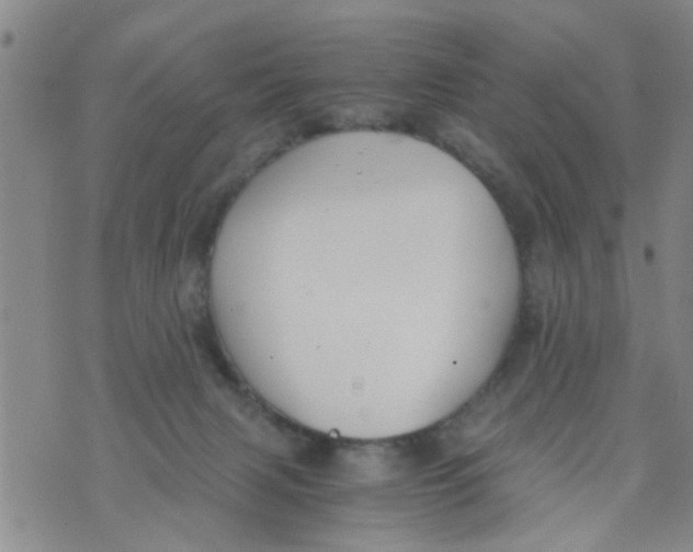 X0000073920079200609082248