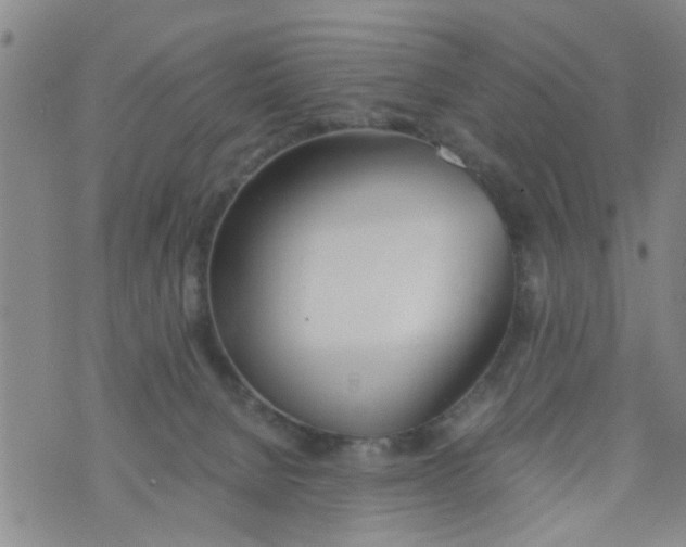 X0000073920080200609082248