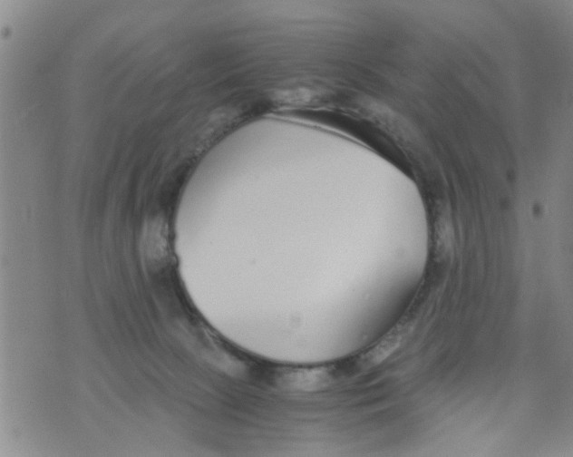 X0000073920081200609082248