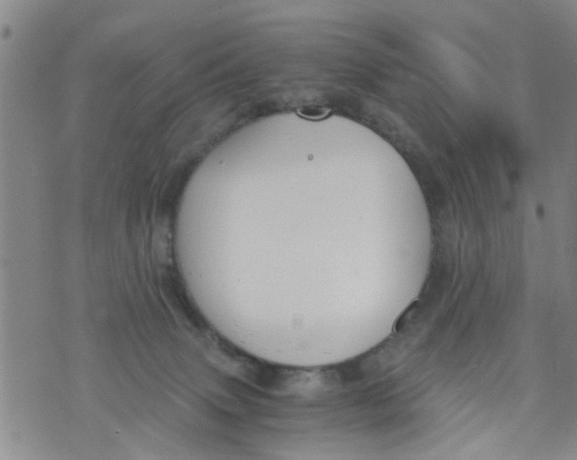 X0000073920083200609082248